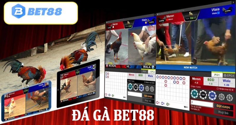 Loại Game đá gà Bet88 online là như nào?